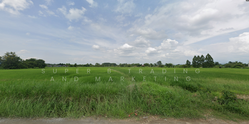 ที่ดิน แปลงยาว ฉะเชิงเทรา, Chachoengsao