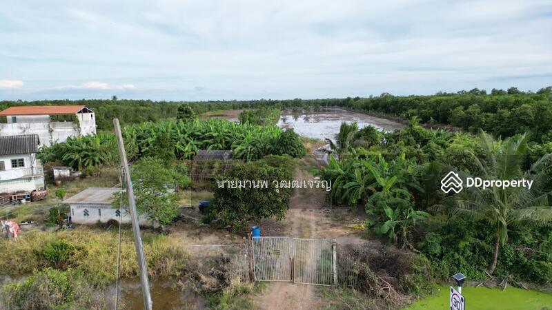 ขายที่ดินบางคล้า สี่เหลี่ยมสวย ติดถนนทางหลวงชนบท 4023, Chachoengsao