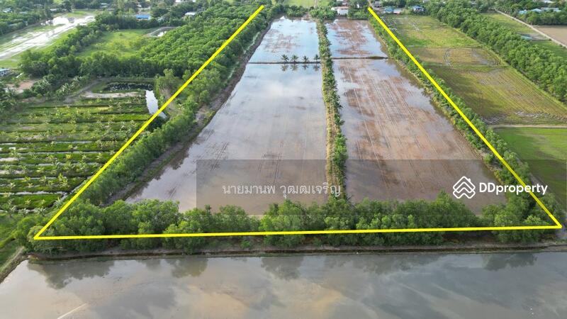 ขายที่ดินบางคล้า สี่เหลี่ยมสวย ติดถนนทางหลวงชนบท 4023, Chachoengsao