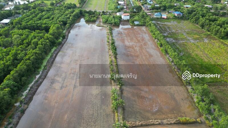 ขายที่ดินบางคล้า สี่เหลี่ยมสวย ติดถนนทางหลวงชนบท 4023, Chachoengsao