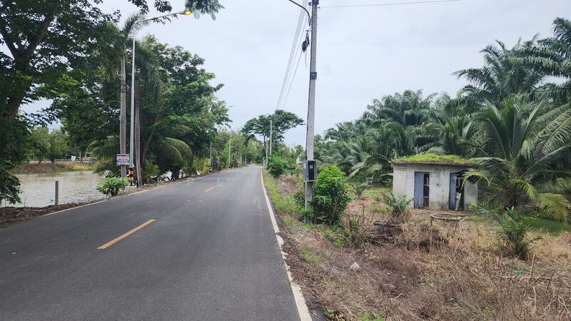 ที่ดินติดถนนคลองสิบใกล้การไฟฟ้าส่วนภูมิภาคอำเภอหนองเสือ ปทุมธานี เนื้อที่ 15 ไร่ 2 งาน 85 ตารางวา, Pathum Thani