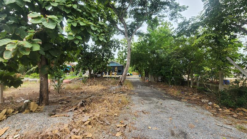 ที่ดินติดถนนคลองสิบใกล้การไฟฟ้าส่วนภูมิภาคอำเภอหนองเสือ ปทุมธานี เนื้อที่ 15 ไร่ 2 งาน 85 ตารางวา, Pathum Thani