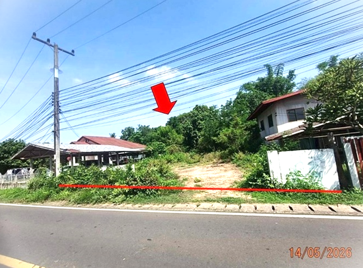 ที่ดินว่างเปล่า ชุมชนบ้านม่วง นาเยีย อุบลราชธานี