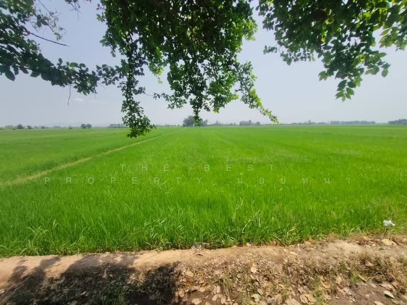 ที่ดินพิชัย อุตรดิตถ์, Uttaradit