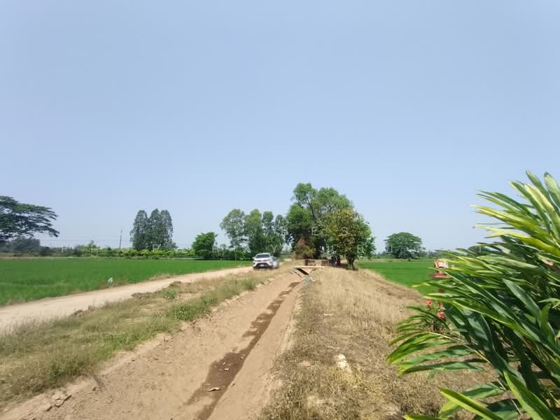 ที่ดินพิชัย อุตรดิตถ์, Uttaradit