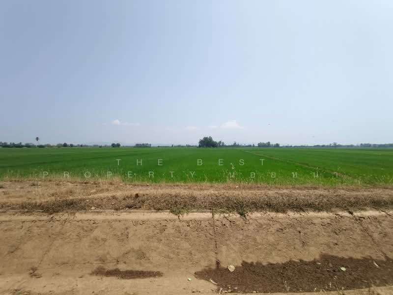 ที่ดินพิชัย อุตรดิตถ์, Uttaradit