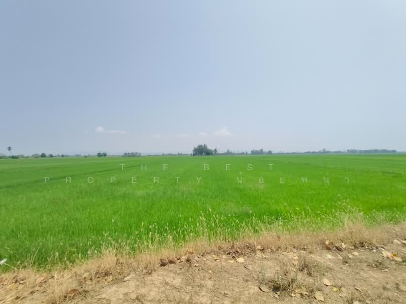 ที่ดินพิชัย อุตรดิตถ์, Uttaradit