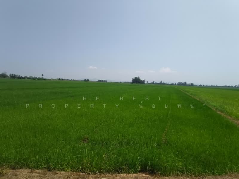 ที่ดินพิชัย อุตรดิตถ์, Uttaradit
