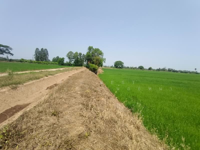 ที่ดินพิชัย อุตรดิตถ์, Uttaradit