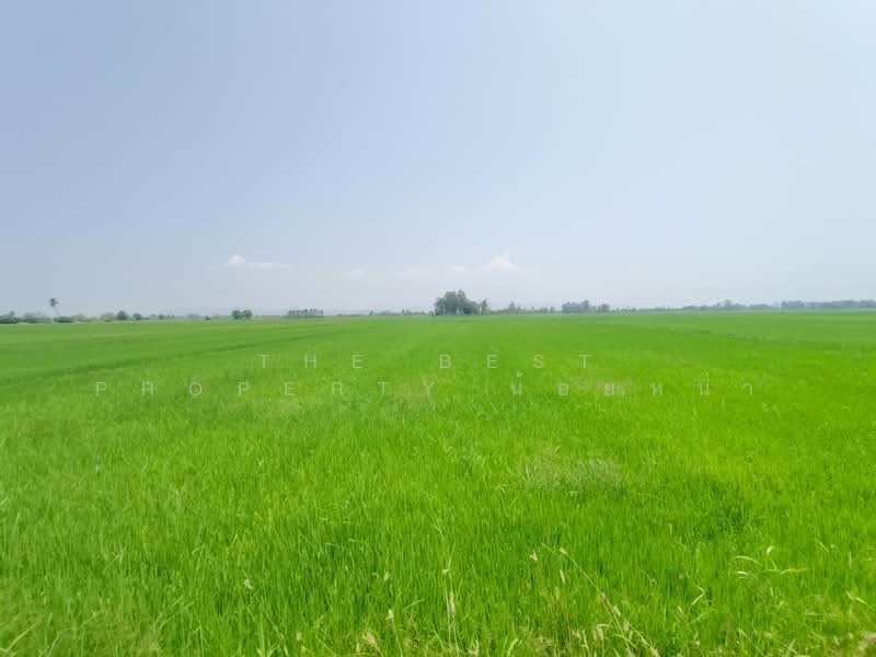 ที่ดินพิชัย อุตรดิตถ์, Uttaradit