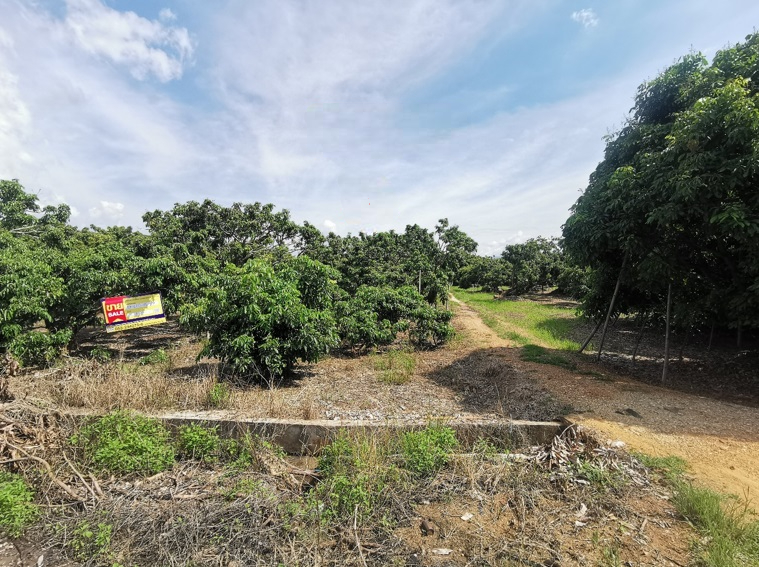 Empty Land in Lamphun