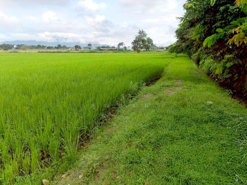 นอกโครงการเชียงราย, Chiang Rai