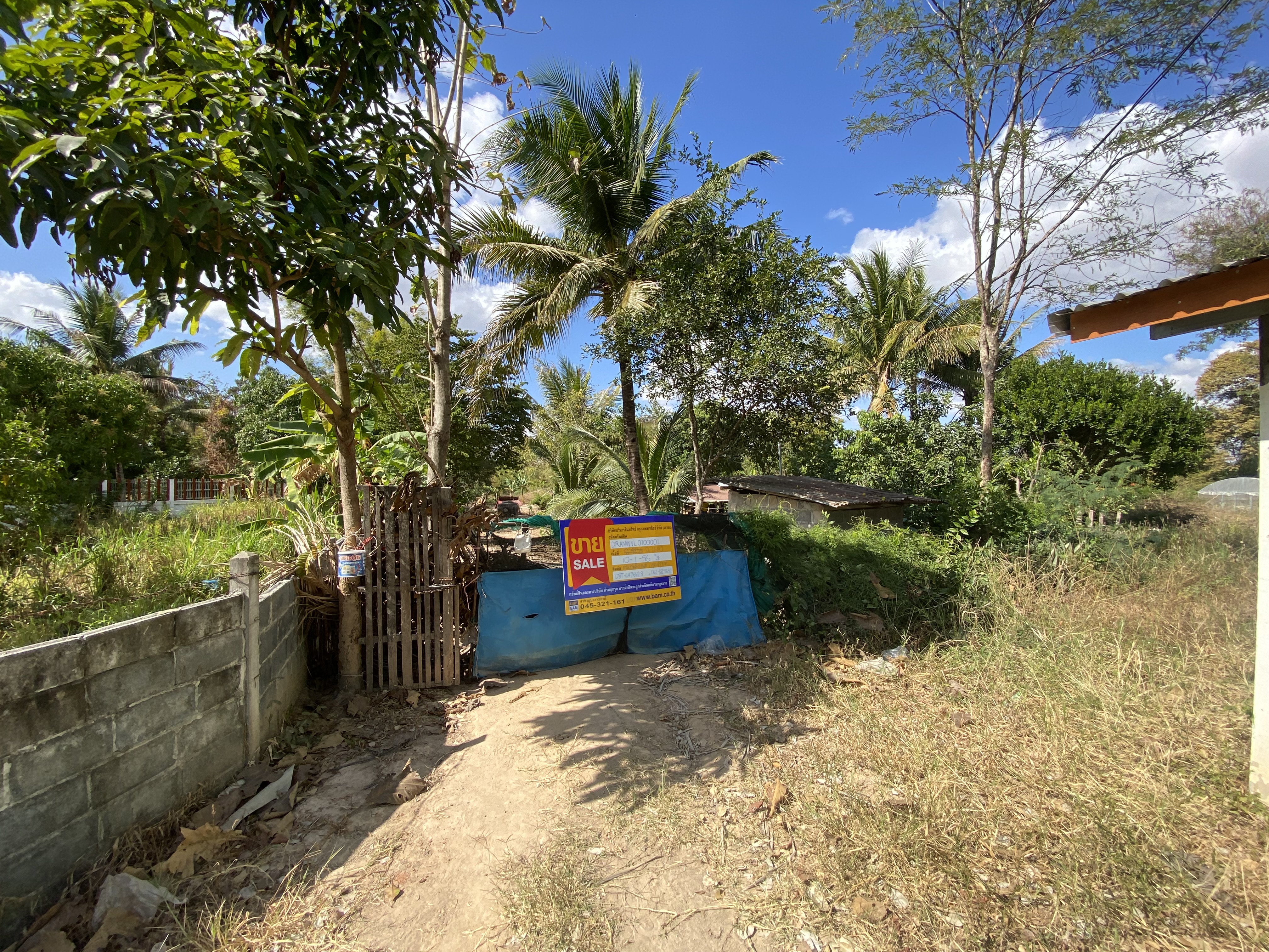 Empty Land in Amnat Charoen