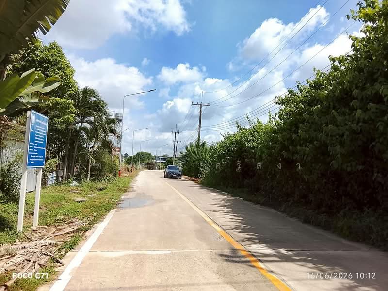 ขายที่ดินเปล่า 130 ตร.ว. ต.ท่าบุญมี อ.เกาะจันทร์ จ.ชลบุรี, Chon Buri (Pattaya)