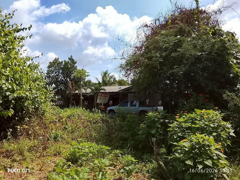 ขายที่ดินเปล่า 130 ตร.ว. ต.ท่าบุญมี อ.เกาะจันทร์ จ.ชลบุรี, Chon Buri (Pattaya)