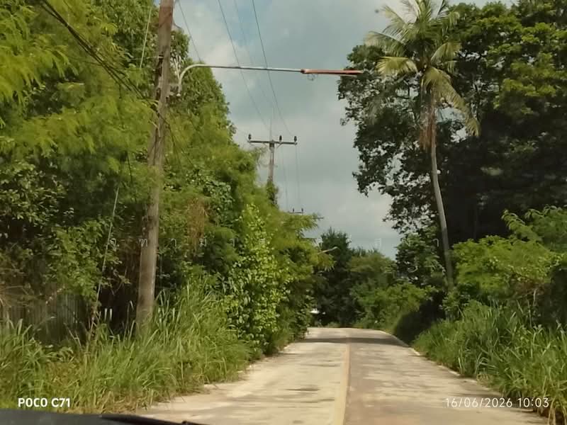 ขายที่ดินเปล่า 130 ตร.ว. ต.ท่าบุญมี อ.เกาะจันทร์ จ.ชลบุรี, Chon Buri (Pattaya)