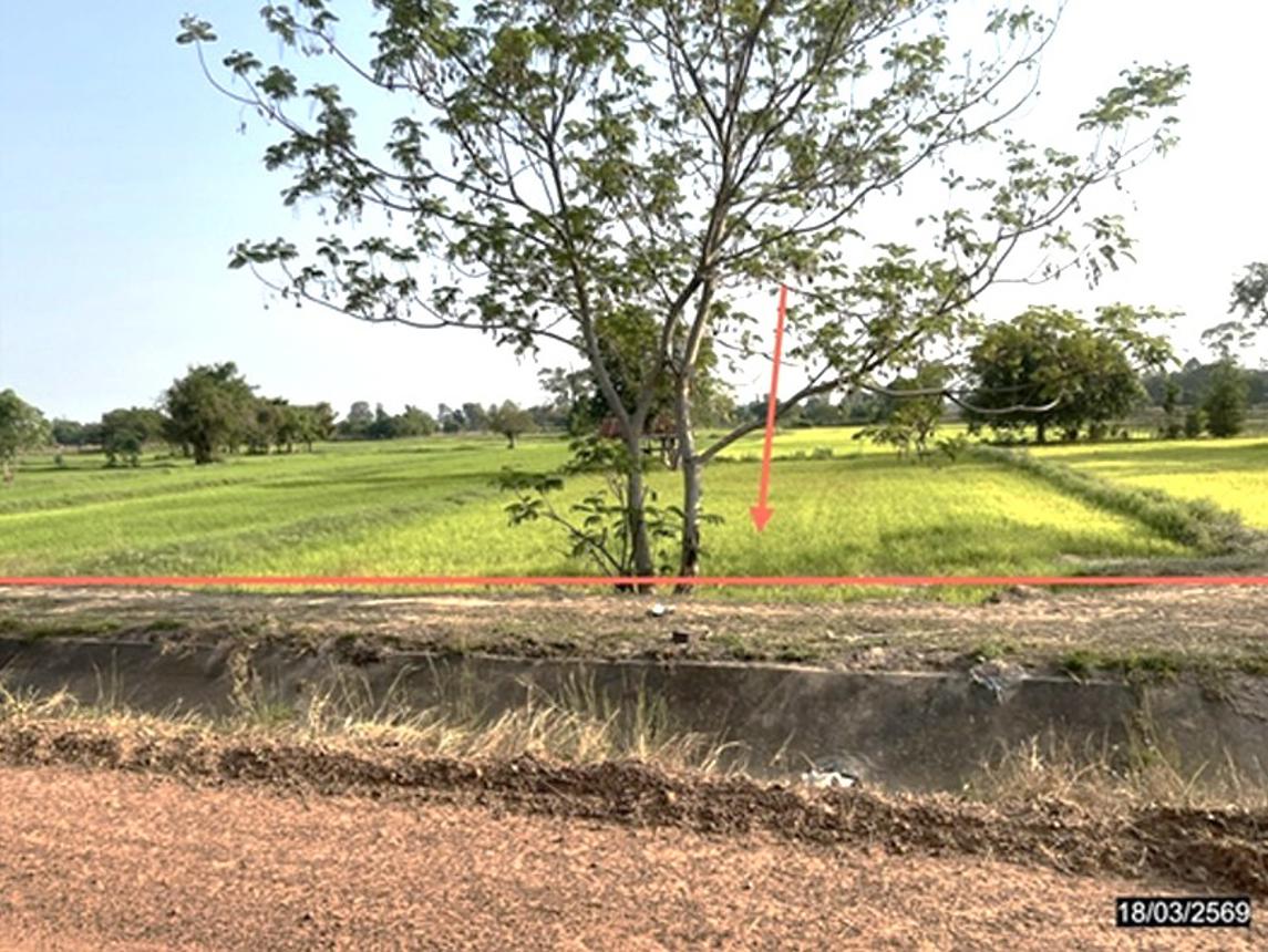 ที่ดินว่างเปล่า ร่องคำ กาฬสินธุ์