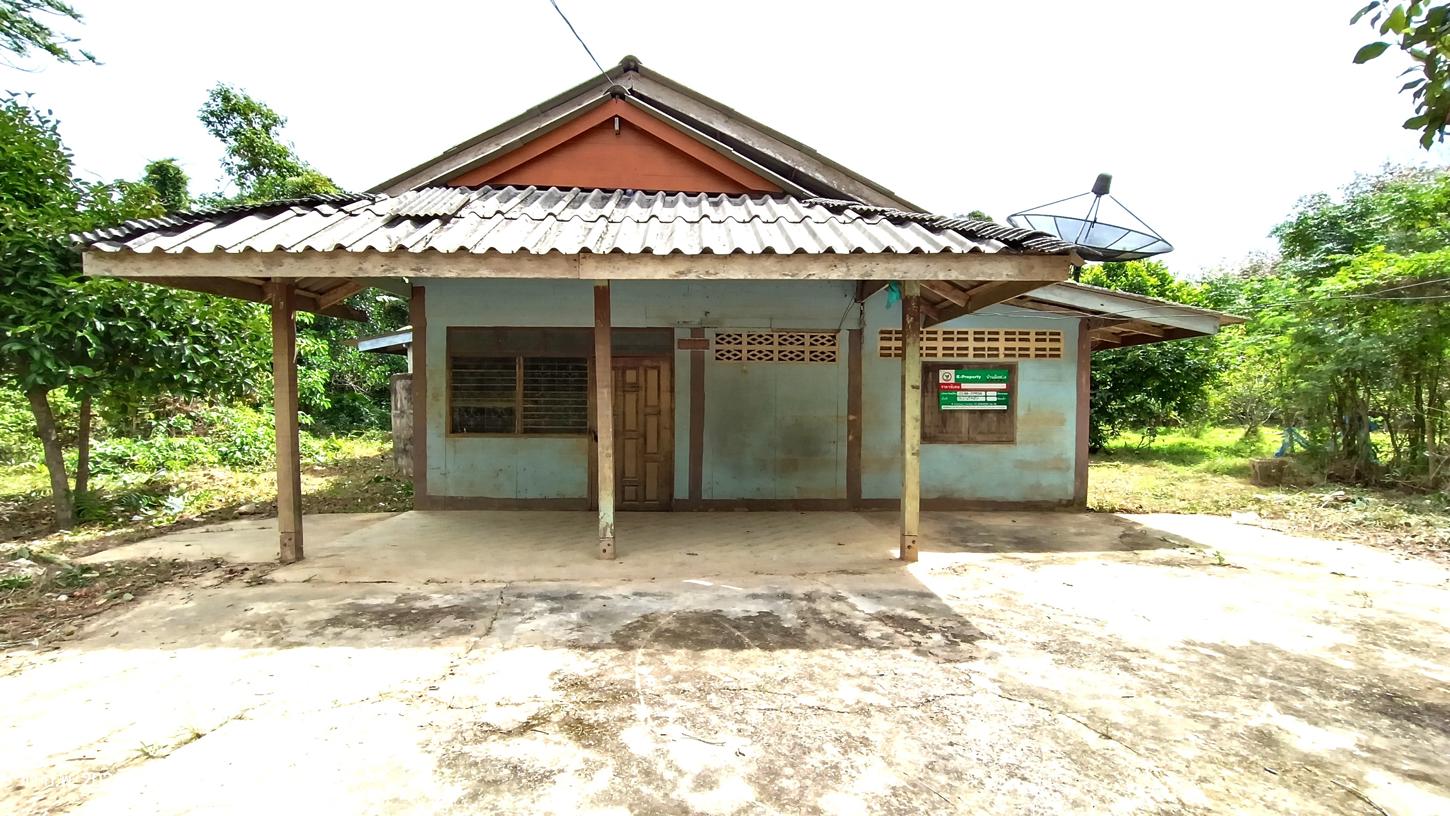 Single House in Thepha, Songkhla