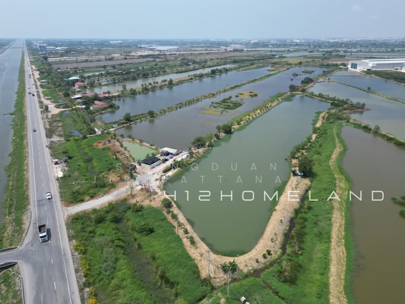 ขายที่ดิน 35 ไร่ ผังสีม่วง ติดถนนเลียบคลองส่งน้ำสุวรรณภูมิ บางพลี สมุทรปราการ, Samut Prakan