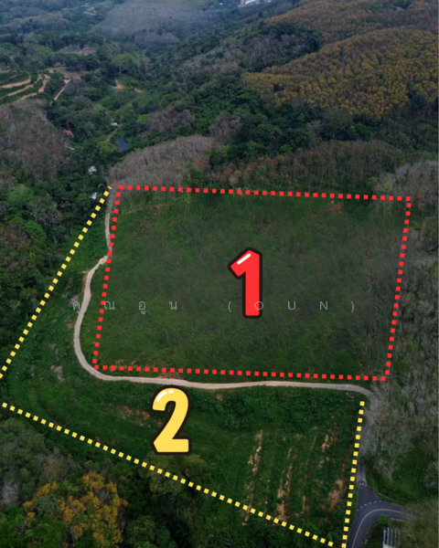 Seaview Land for Sale – Pa Khlok, Phuket, Phuket