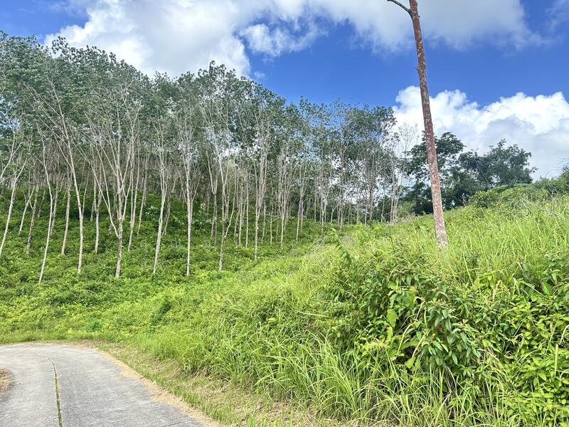 Seaview Land for Sale – Pa Khlok, Phuket, Phuket