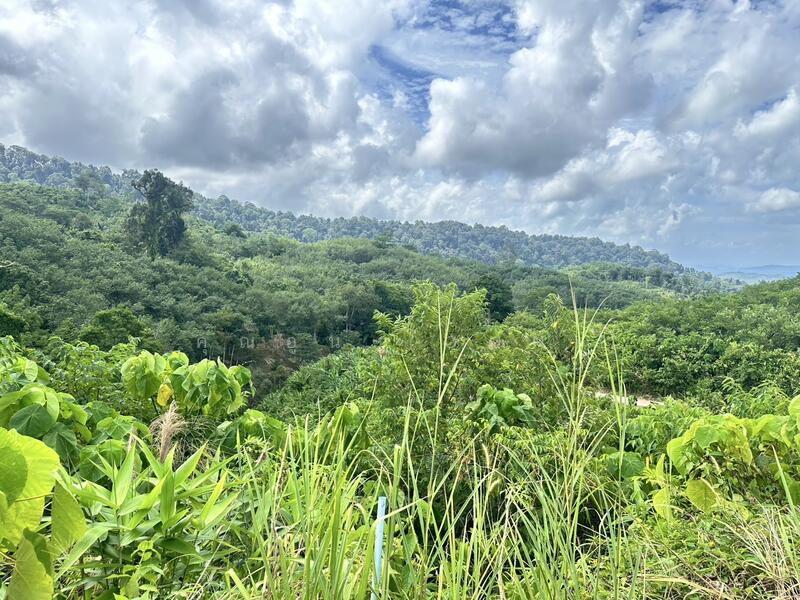 Seaview Land for Sale – Pa Khlok, Phuket, Phuket