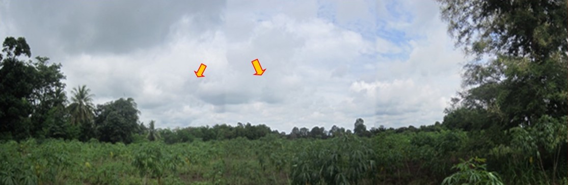 ที่ดินเปล่า โครงการพนาภากร นครราชสีมา