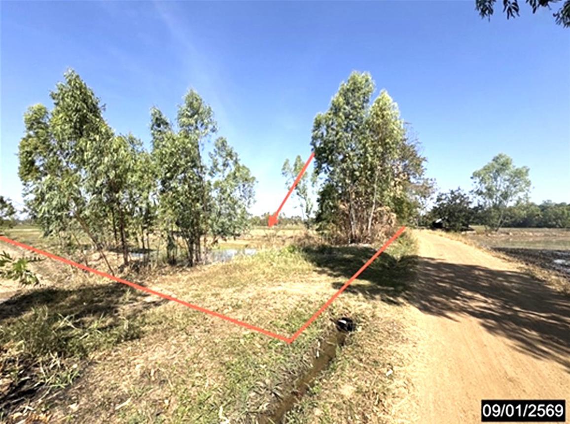 Empty Land for Sale in Kamalasai, Kalasin