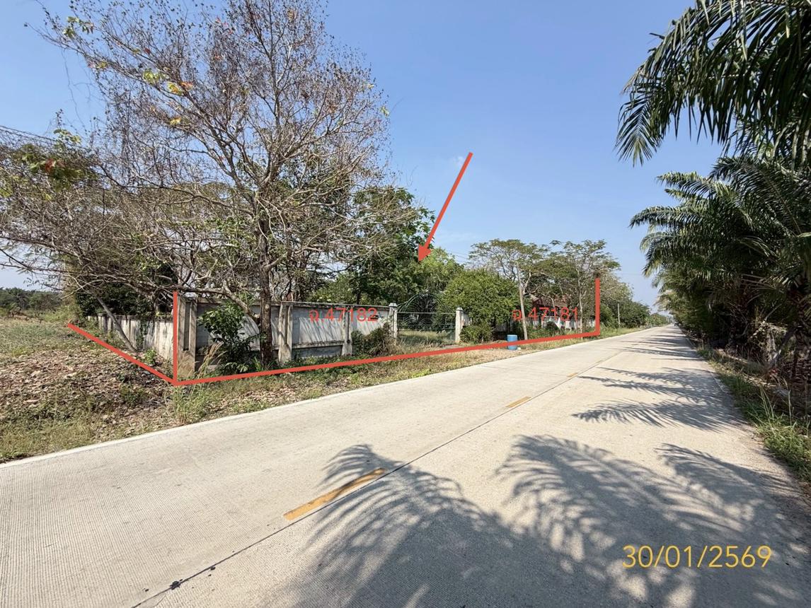 Single-Family House in Nong Suea, Pathum Thani