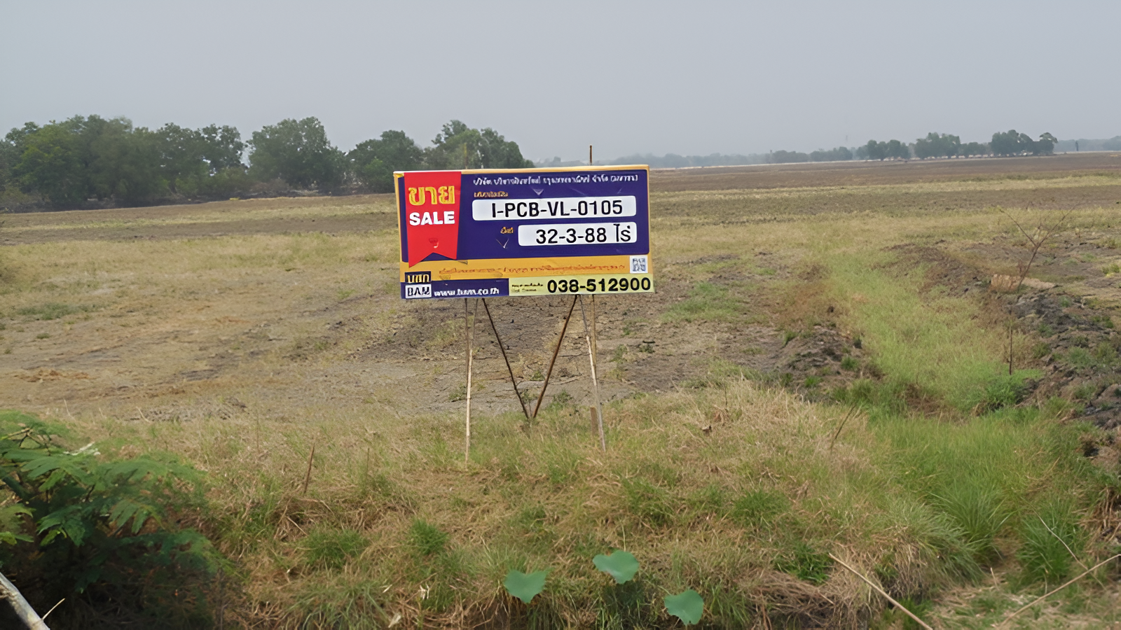 Empty Land in Bang Dach, Prachinburi