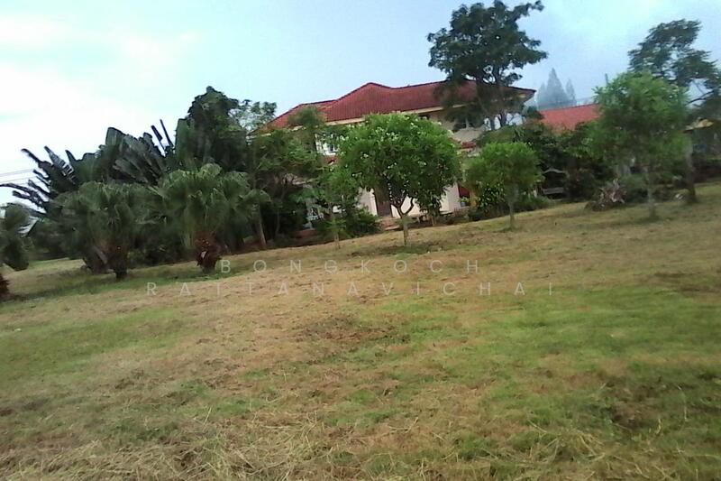 A detached house ideal for relaxation or retirement near Koh Samui, Surat Thani, Surat Thani
