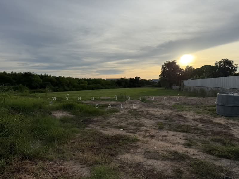 Land for Sale 3221 Sq,Wah (8 Rai) Close to Lam Chabang Port, Chon Buri (Pattaya)