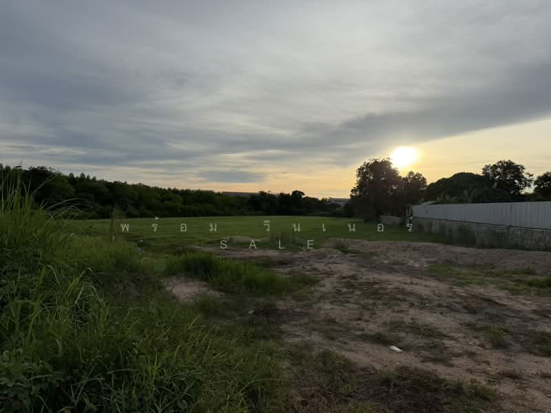 Land for Sale 3221 Sq,Wah (8 Rai) Close to Lam Chabang Port, Chon Buri (Pattaya)