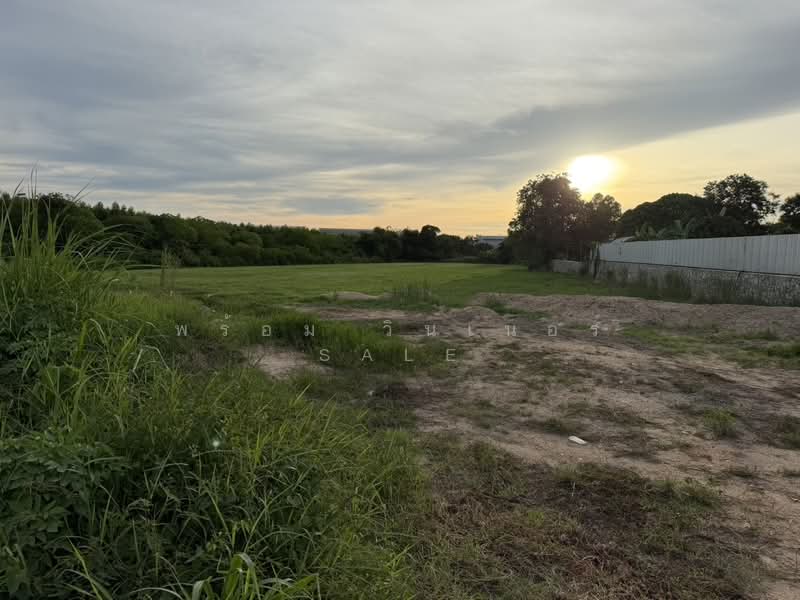 Land for Sale 3221 Sq,Wah (8 Rai) Close to Lam Chabang Port, Chon Buri (Pattaya)