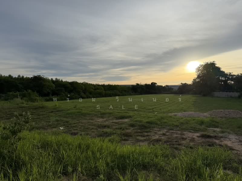 Land for Sale 3221 Sq,Wah (8 Rai) Close to Lam Chabang Port, Chon Buri (Pattaya)