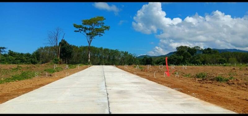 ขายที่ดินเปล่า ทำเลทอง สภาพแวดล้อมดี ใกล้แหล่งชุมชน เดินทางสะดวก อ.ตะกั่วป่า จ.พังงา, Phangnga