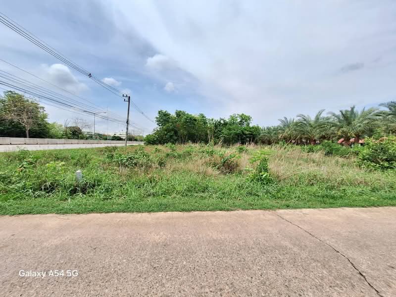 Land of 1,004 Sq. Mt For Sale with Highway Frontage In Nong Bua Lam Phu, Nong Bua Lam Phu