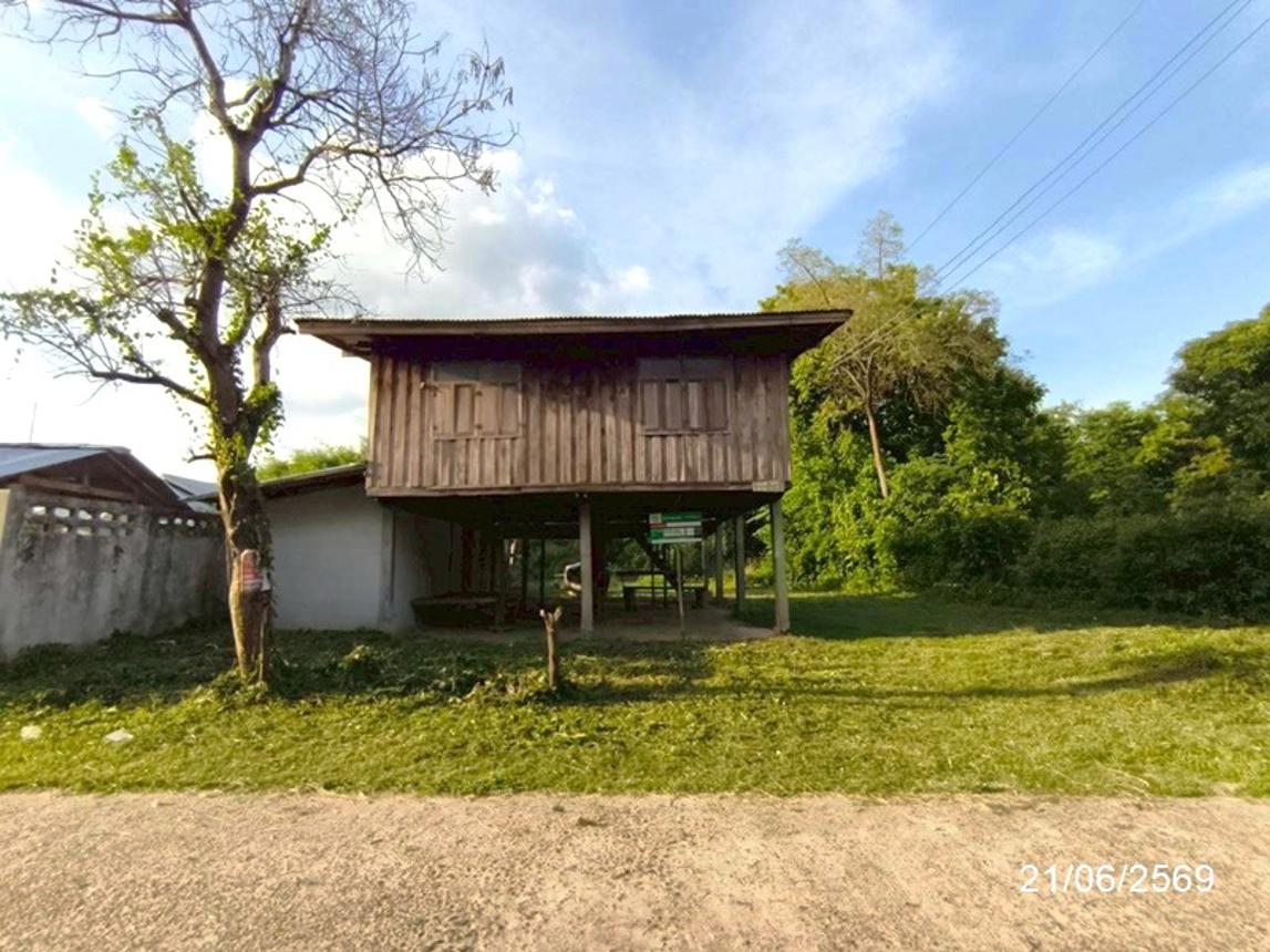 บ้านเดี่ยว พนา อำนาจเจริญ  พื้นที่ขนาด 1,000 ตารางวา