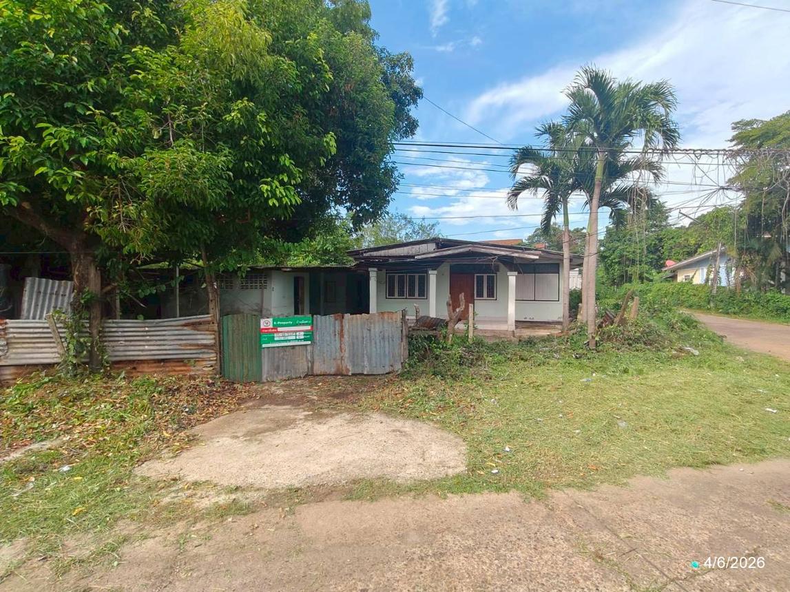 บ้านเดี่ยว ที่ดิน 40 ไร่ เมืองหนองคาย