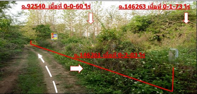 Empty land for sale in Lamphun Province