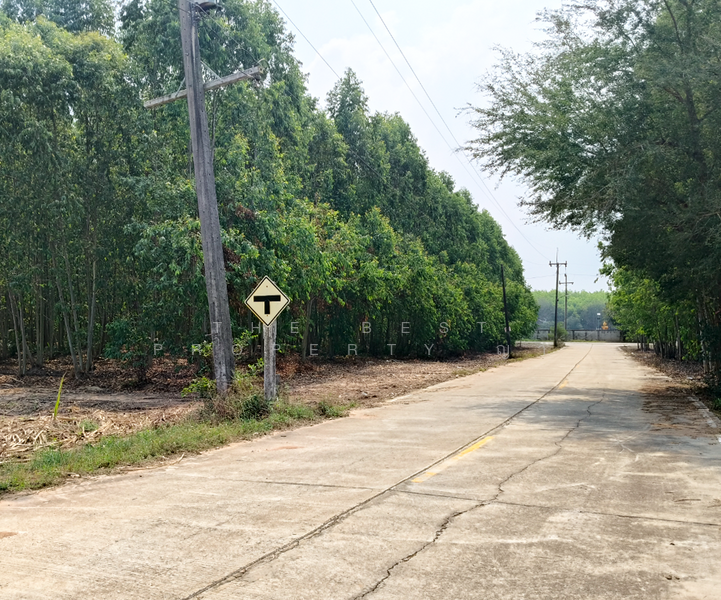 ที่ดินบ่อทอง ชลบุรี, Chon Buri (Pattaya)