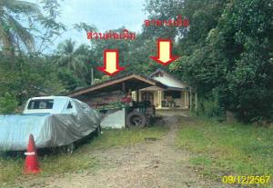 บ้านเดี่ยว ป่าบอน จังหวัดพัทลุง