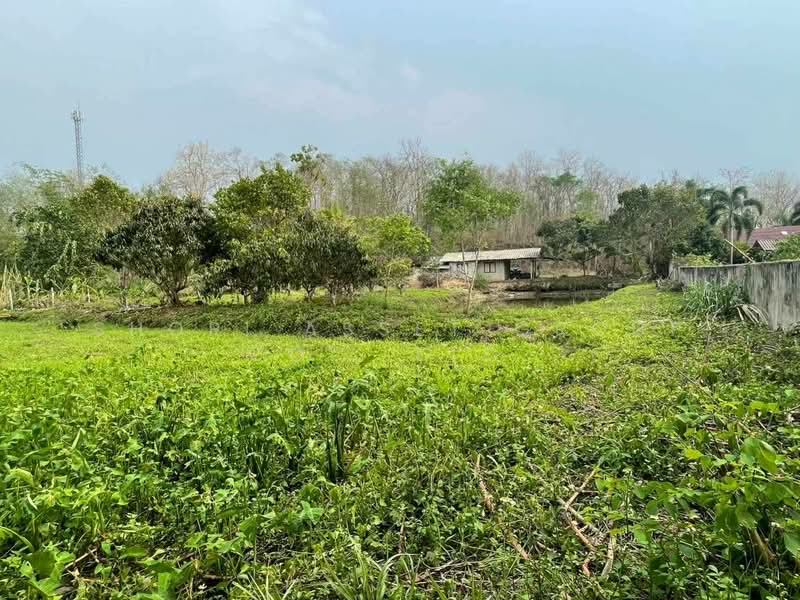 Land in Mae Rim, Saluang, Chiang Mai
