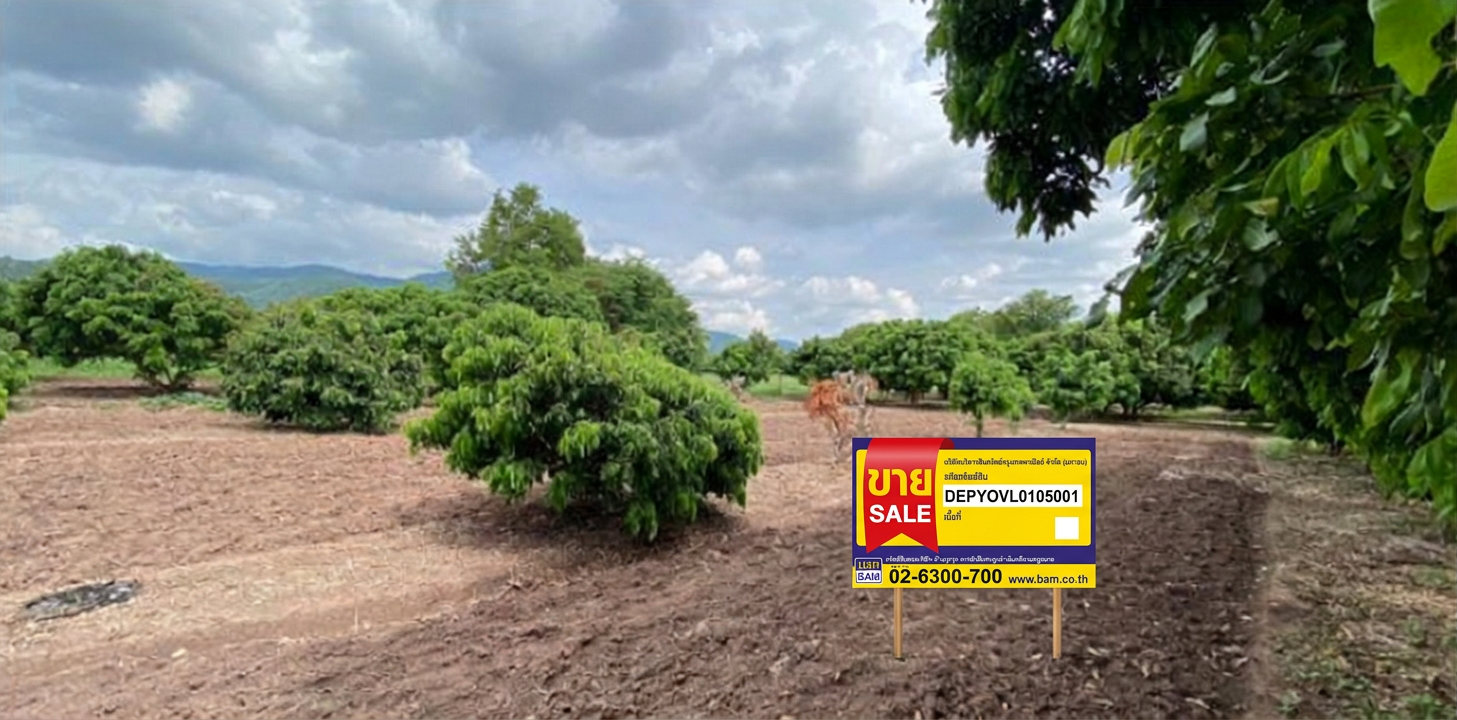 Empty land Cave house Phayao