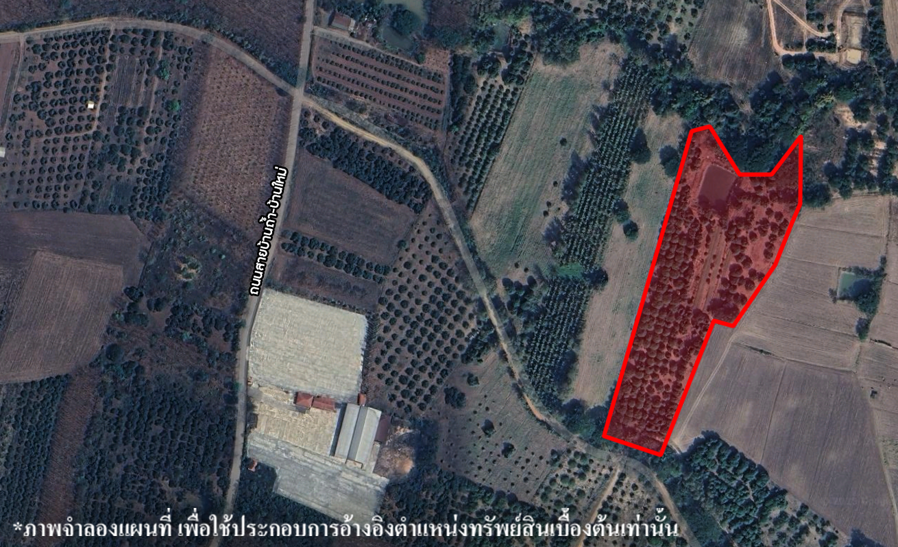 ที่ดินเปล่า บ้านถ้ำ พะเยา