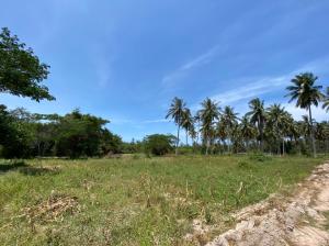 Land plot with building, Taphaeng, Prachuap Khiri Khan Province