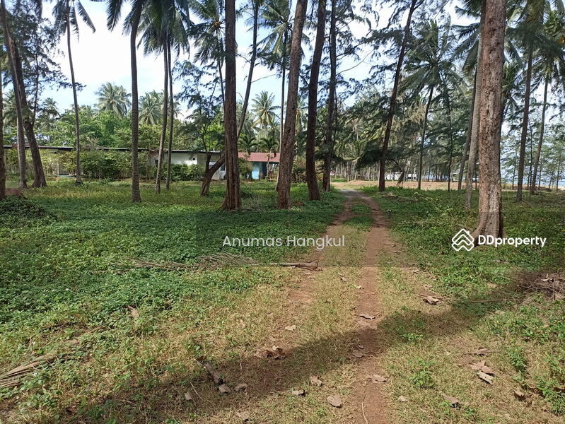 ขายที่ดิน ชายทะเล 1 ไร่ 82.8 ตรว. บางสะพานน้อย จ.ประจวบฯ, Prachuap Khiri Khan