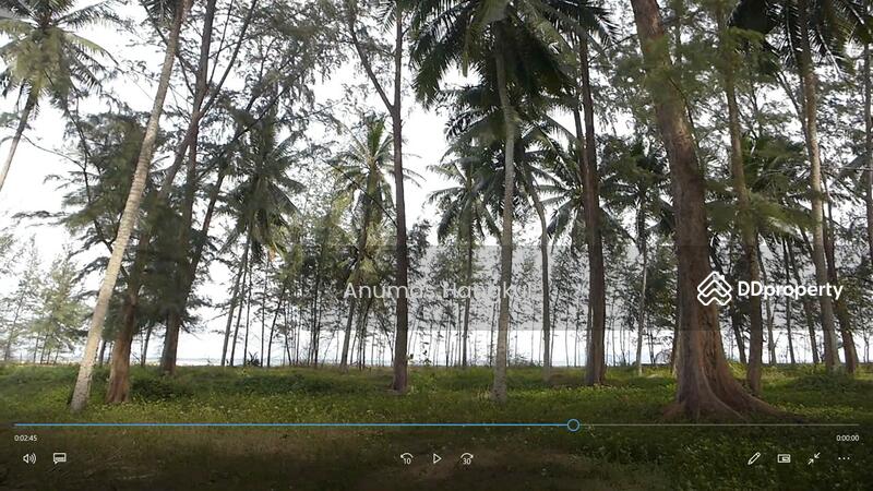 ขายที่ดิน ชายทะเล 1 ไร่ 82.8 ตรว. บางสะพานน้อย จ.ประจวบฯ, Prachuap Khiri Khan