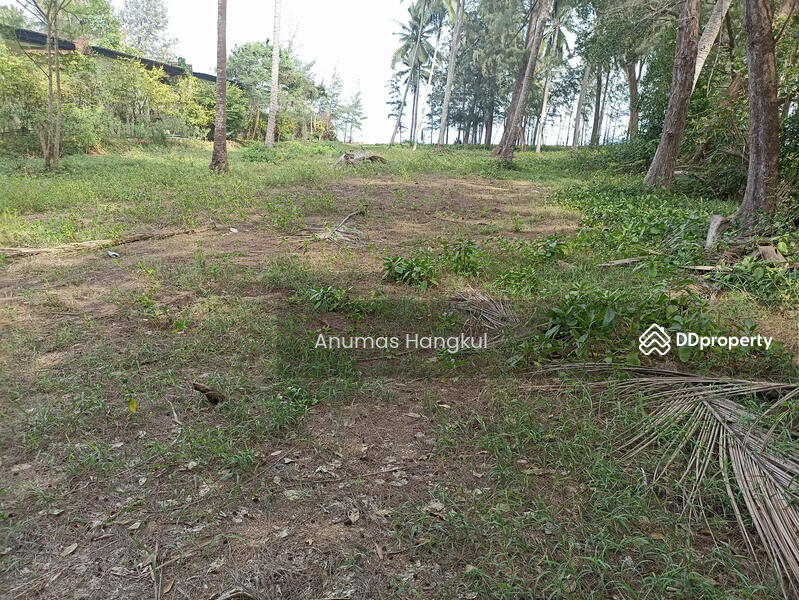 ขายที่ดิน ชายทะเล 1 ไร่ 82.8 ตรว. บางสะพานน้อย จ.ประจวบฯ, Prachuap Khiri Khan