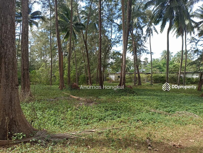 ขายที่ดิน ชายทะเล 1 ไร่ 82.8 ตรว. บางสะพานน้อย จ.ประจวบฯ, Prachuap Khiri Khan